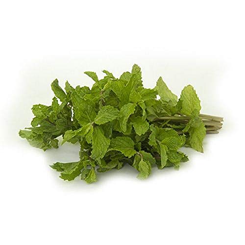 Product Cover Fresh Produce Mint Leaves 1 Bunch (80 g - 100 g)